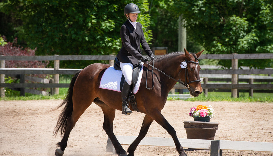 Dietary Zinc & Hoof Health